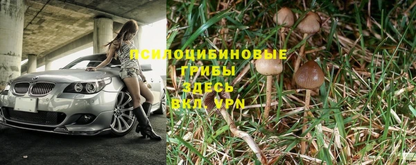 мяу мяу мука Приозерск