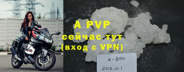 мяу мяу мука Приозерск