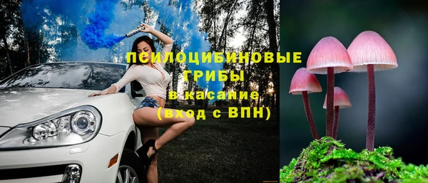 ECSTASY Пролетарск