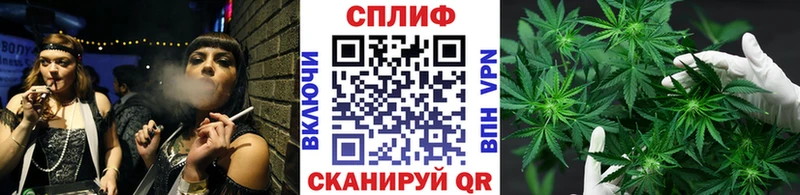 купить наркотики цена  Спас-Клепики  Марихуана планчик 